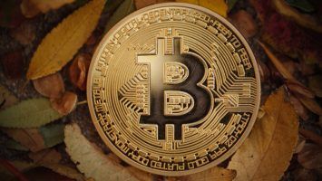 Golden bitcoin BTC coin in autumn leaves, macro closeup.
