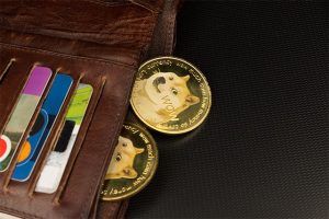 An image featuring a wallet that has two dogecoins popping out of it representing dogecoin wallet concept